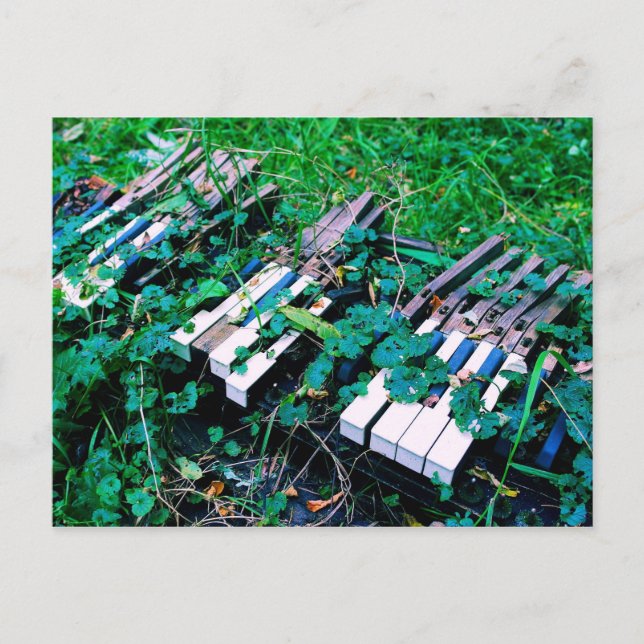 "The Day the Music Died" - Piano - Postcard Postkarte (Vorderseite)