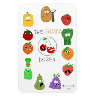 The Dirty Dozen Illustriert List - 2017 Edition Magnet