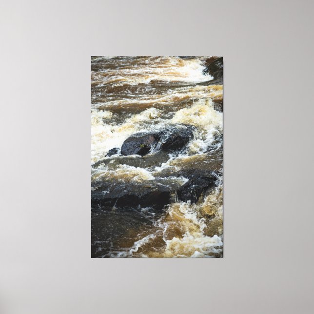 The Earths Pulse Leinwanddruck (Vorderseite)