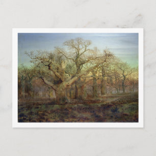 The Edge of Sherwood Forest, 1878 Postkarte