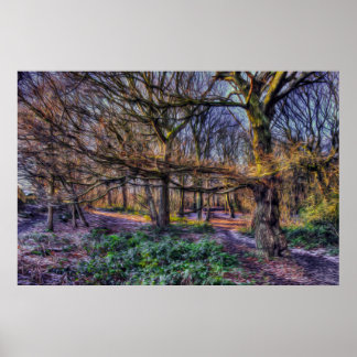 The Enchanted Forest 1 Poster