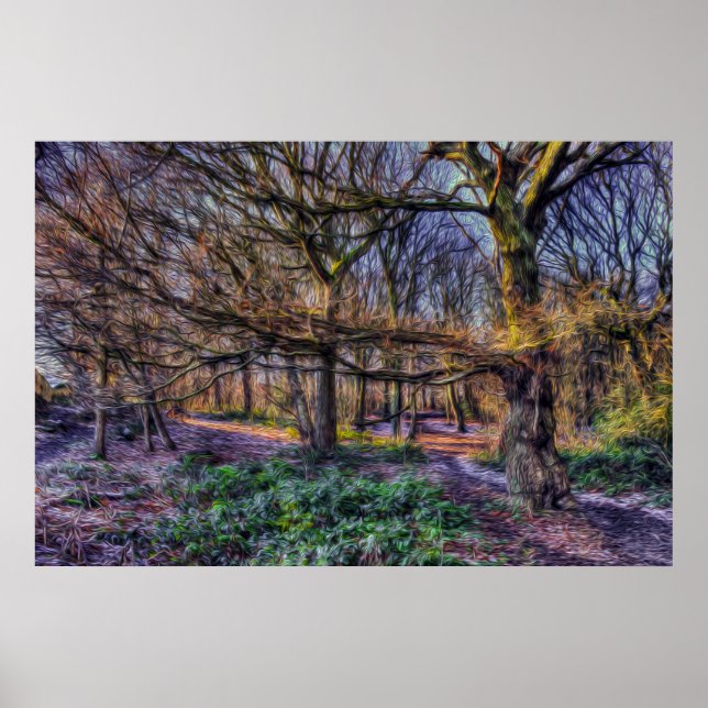 The Enchanted Forest 1 Poster (Vorne)