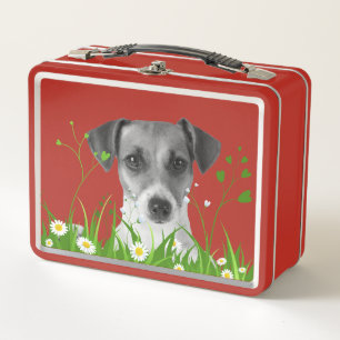 The Fall 2024 Collection Red Blk/wht dog and grass Metall Brotdose