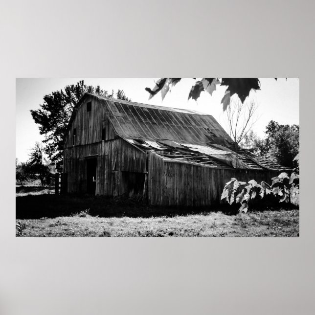 The Farm Poster (Vorne)