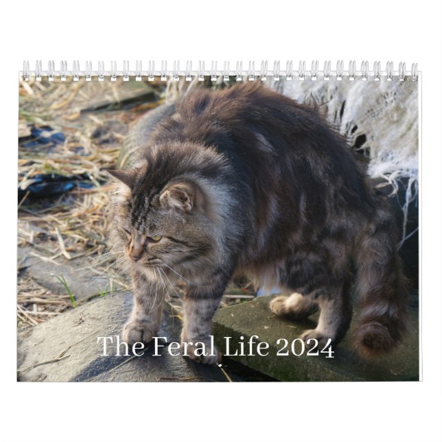 The Feral Life 2024 Schöne natürliche Katzen Calen Kalender (Titelbild)