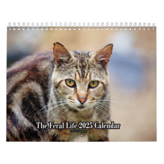 The Feral LIfe Foto Cats 2025 Calendar Kalender