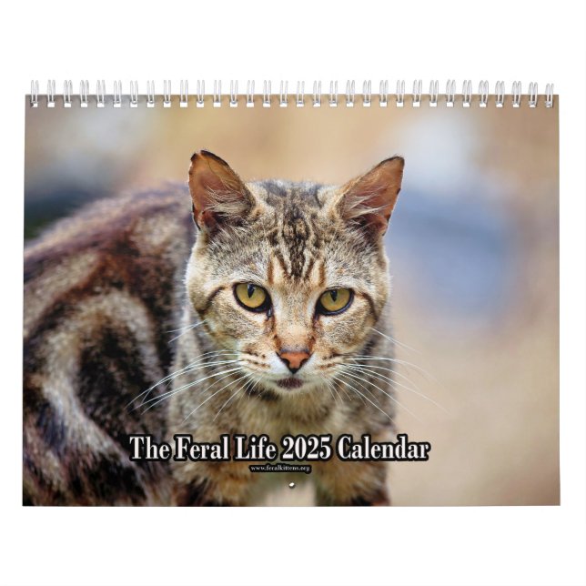 The Feral LIfe Foto Cats 2025 Kalender (Titelbild)