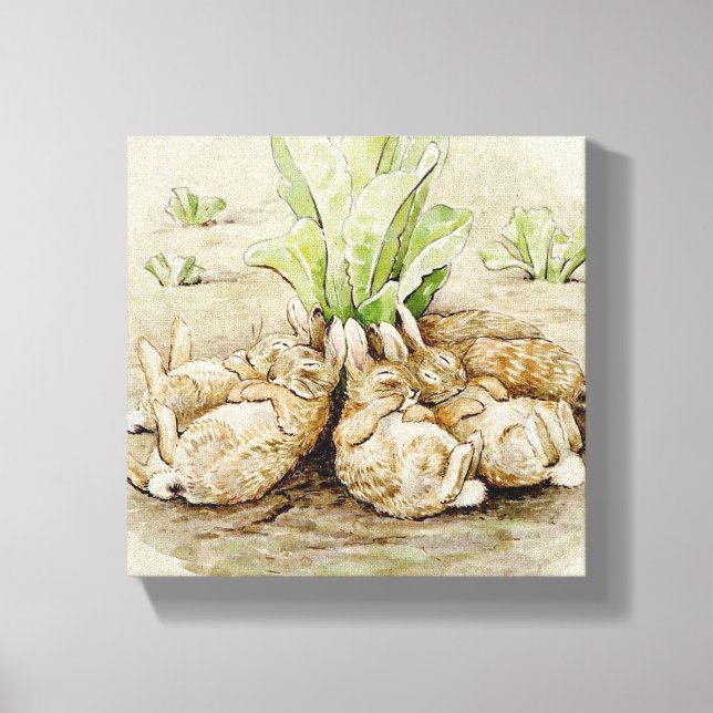 The Flopsy Bunnies Asleep (von Beatrix Potter) Leinwanddruck (Vorderseite)