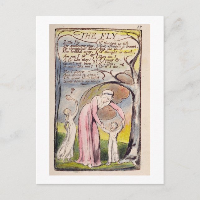 'The Fly', Platte 37 von 'Songs of Innocence and o Postkarte (Vorderseite)