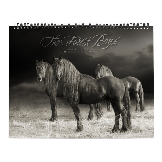 The Forest Boyz - Gesamtkalender Kalender (Titelbild)