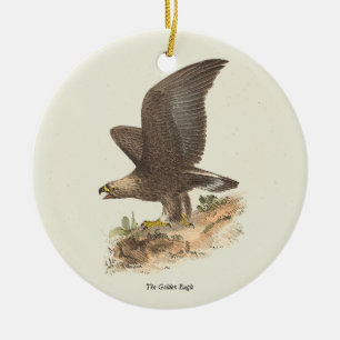 The Golden Eagle (Aquila chrysaetos) NY Bird Image Keramik Ornament