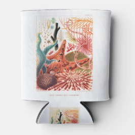 The Great Barrier Reef of Australia Dosenkühler