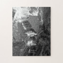 The Great Falls of Tinkers Creek - Vogelperspektiv Puzzle