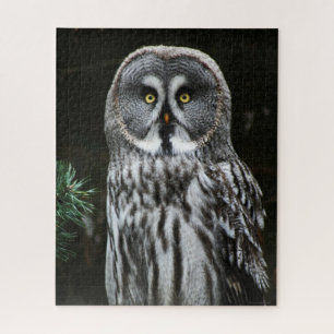 The Great Gray Owl 16x20 520pc jpcna Puzzle