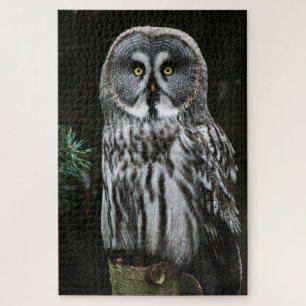 The Great Gray Owl 20x30 1014pc jpcna Puzzle