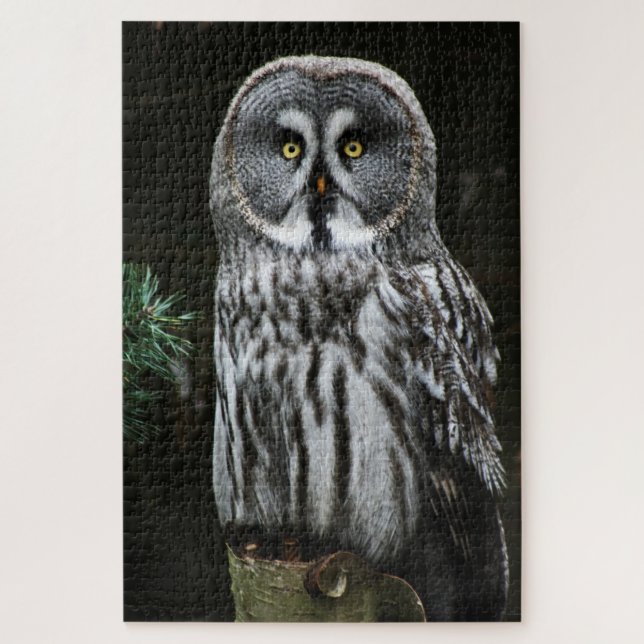 The Great Gray Owl 20x30 1014pc jpcna Puzzle (Vertikal)