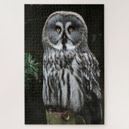 The Great Gray Owl 20x30 1014pc jpm Puzzle