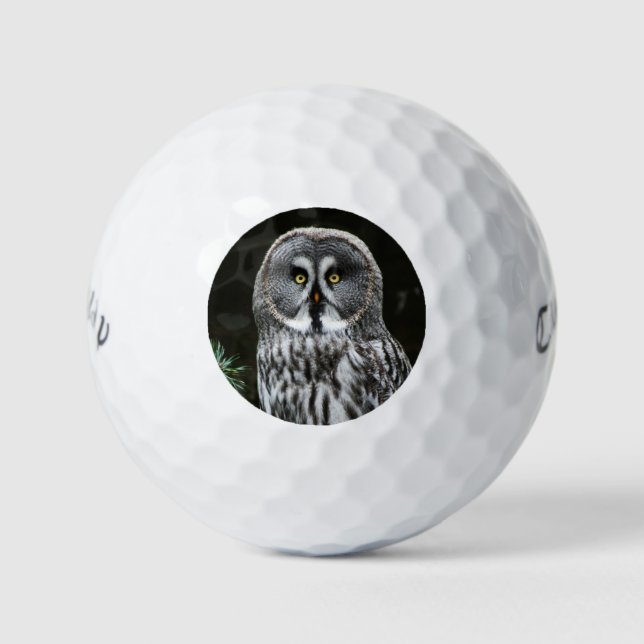 The Great Gray Owl cwb gbcnm Golfball (Vorderseite)