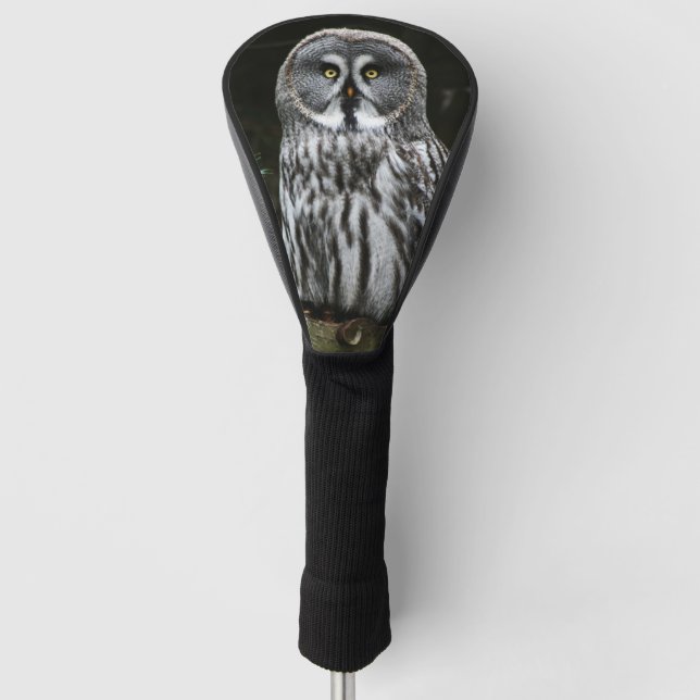 The Great Gray Owl dccna Golf Headcover (Vorderseite)