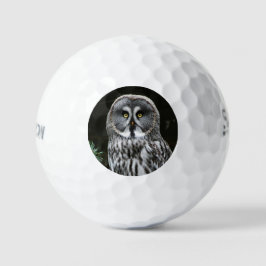 The Great Gray Owl ssf gbcnm Golfball