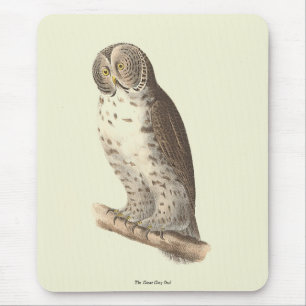 The Great Gray Owl (Strix nebulosa) NY Bird Image Mousepad