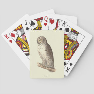 The Great Gray Owl (Strix nebulosa) NY Bird Image Spielkarten
