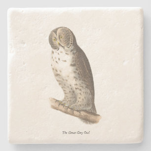 The Great Gray Owl (Strix nebulosa) NY Bird Image Steinuntersetzer