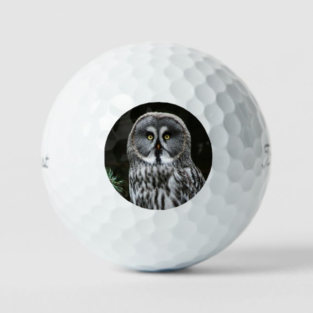 The Great Gray Owl tpv1 gbcnm Golfball (Vorderseite)