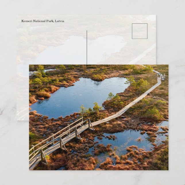 The Great Kemeri Bog Boardwalk, Latvia Postkarte (Vorne/Hinten)