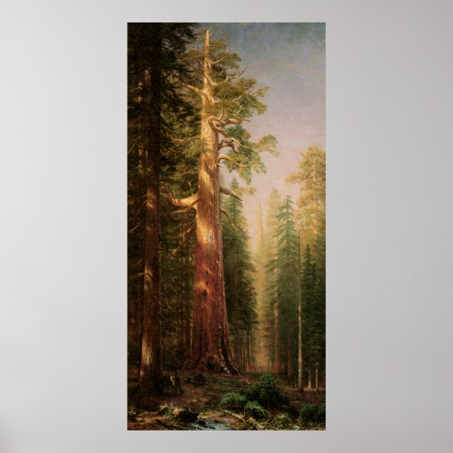 The Great Trees, von Albert Bierstadt Poster (Vorne)