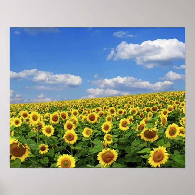 The_Greatness_of_Nature_(5) Poster (Vorne)