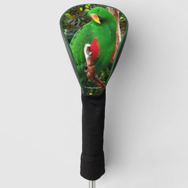 "The Green Orator" Eclectus Parrot Golf Headcover (Vorderseite)