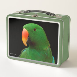 "The Green Orator" Eclectus Parrot Metall Brotdose