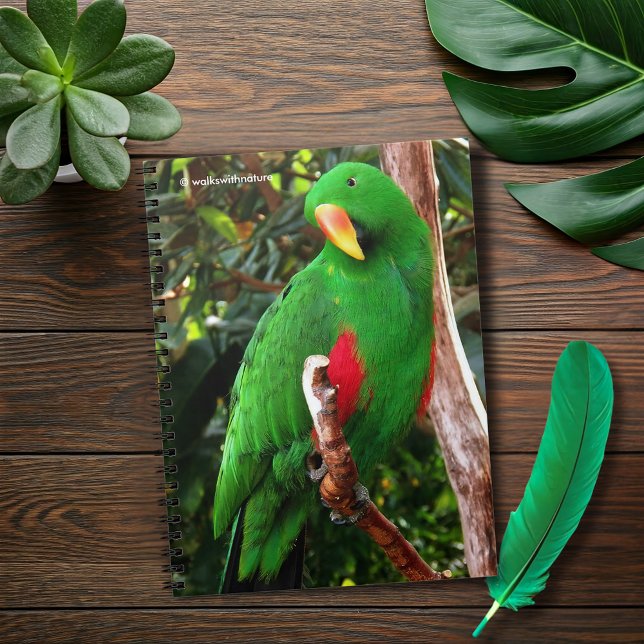 "The Green Orator" Eclectus Parrot Notizblock (The Green Orator Eclectus Parrot Journal Cover Photo)