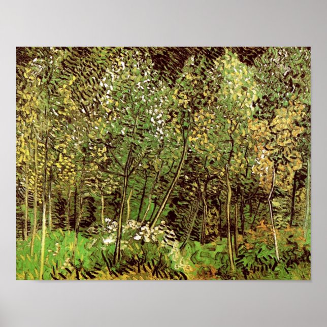The Grove (F817) Van Gogh Fine Art Poster (Vorne)