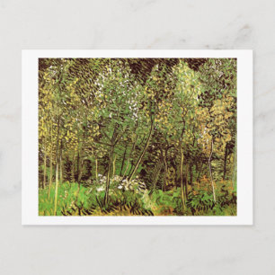 The Grove, Van Gogh Feine Kunst Postkarte