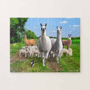 "The Guard Llamas" Puzzle