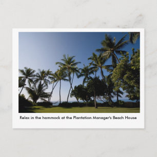 The hammock at the Plantation Manager's House Postkarte