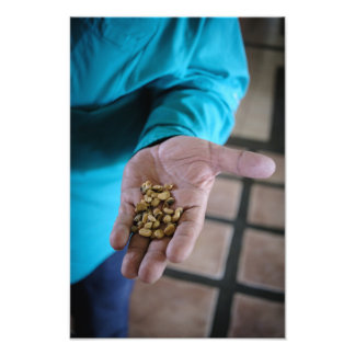 The Hand That Guides Fotodruck