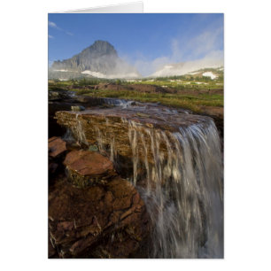 The Hanggärten am Logan Pass im Gletscher