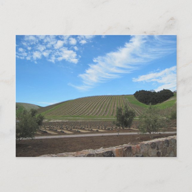 The Heart of Paso Robles Wine Country Postkarte (Vorderseite)