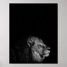 The King, Lion, Black and White Fotografy