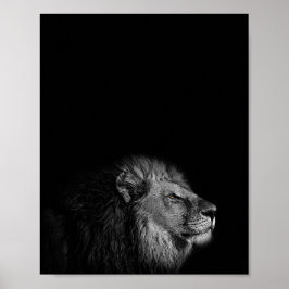 The King, Lion, Black and White Fotografy Poster