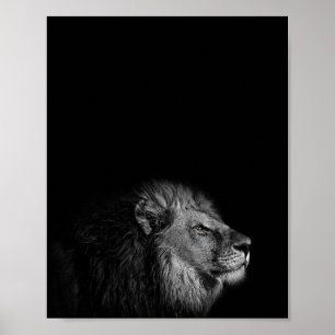 The King, Lion, Schwarz-Weiß-Fotografie Poster