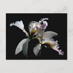 THE KISS POSTKARTE