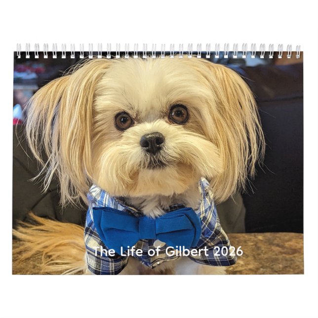 The Life of Gilbert Calendar 2026 Kalender (Titelbild)