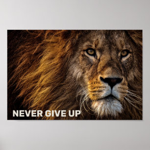 The Lion - Never Give Up Poster
