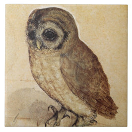 The Little Owl (von Albrecht Durer) Fliese