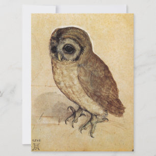 The Little Owl (von Albrecht Durer) Karte