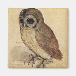 The Little Owl (von Albrecht Durer) Magnet